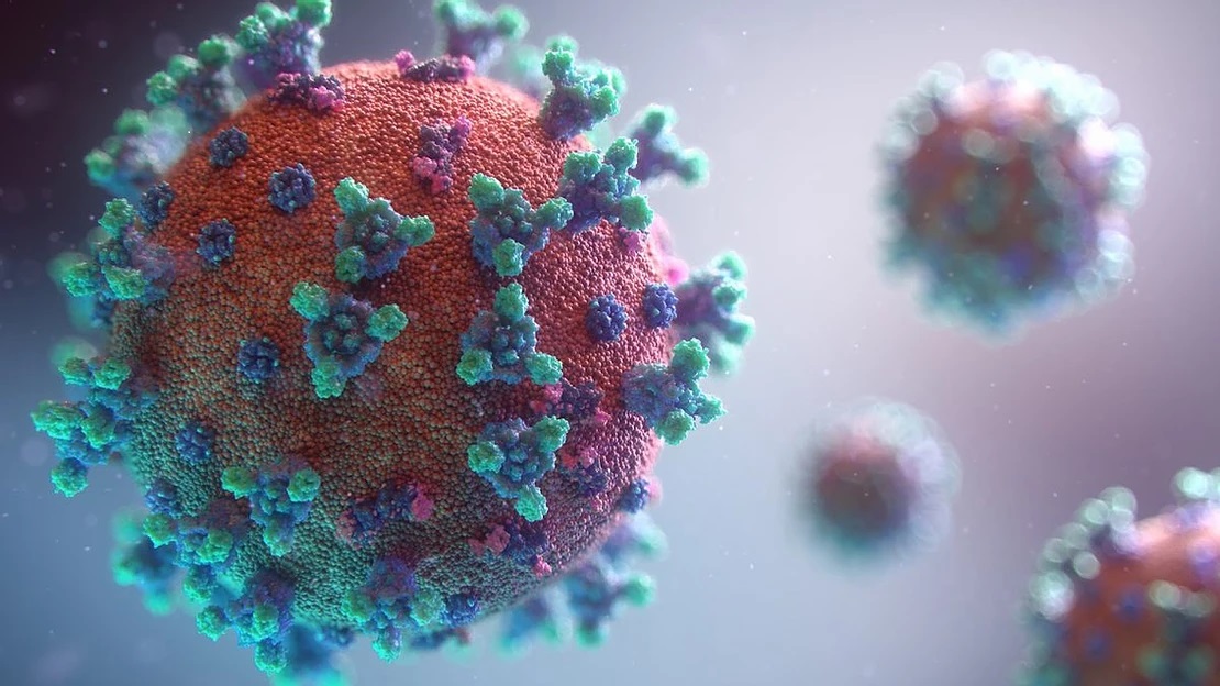 Israel professor proves CV19 has fixed pattern that is not dependent on freedom or quarantine