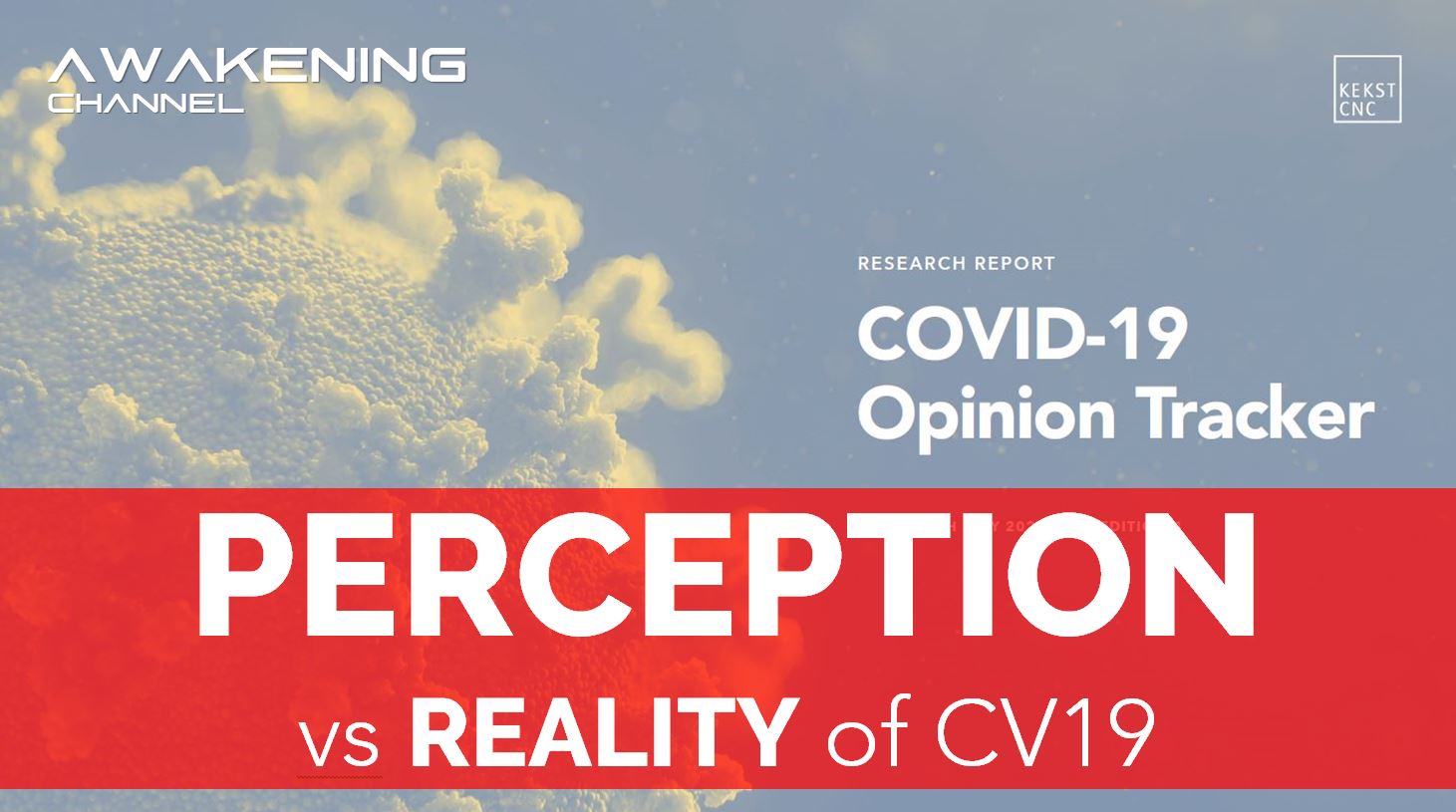 PERCEPTION vs REALITY of CV19