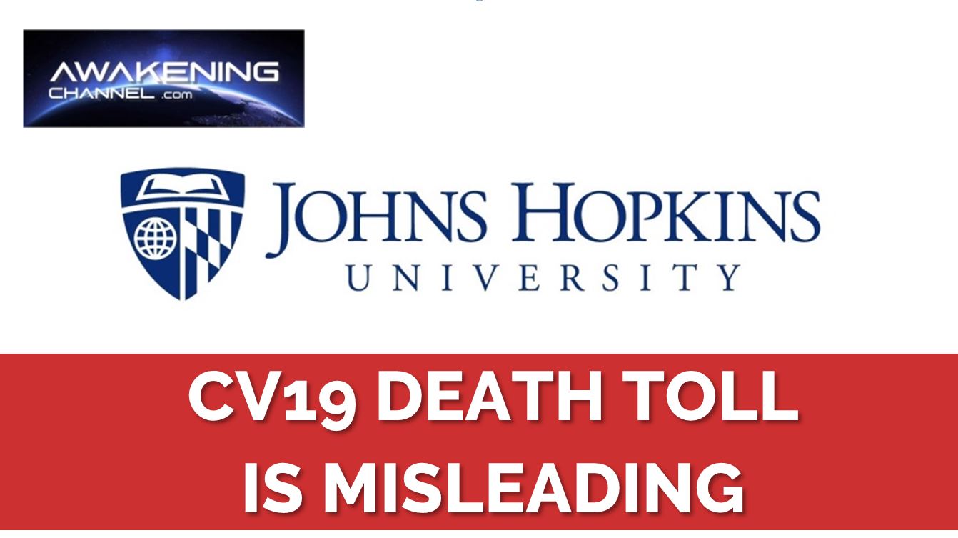 No evidence that CV19 created any excess deaths